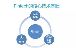 大數(shù)據(jù)與人工智能在金融領(lǐng)域的創(chuàng)新應(yīng)用——人工智能公共數(shù)據(jù)平臺的驅(qū)動作用